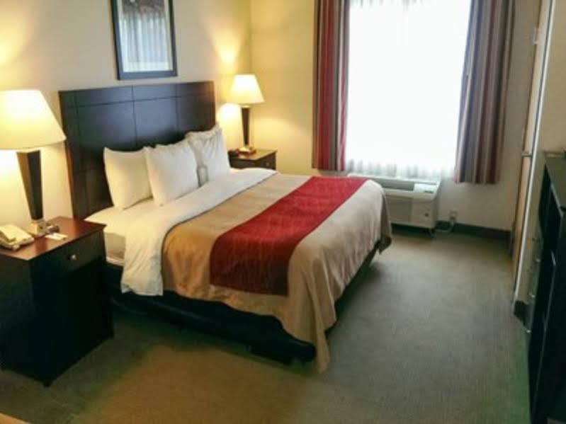 Comfort Inn & Suites Creswell Buitenkant foto